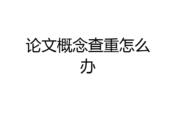 论文概念查重怎么办