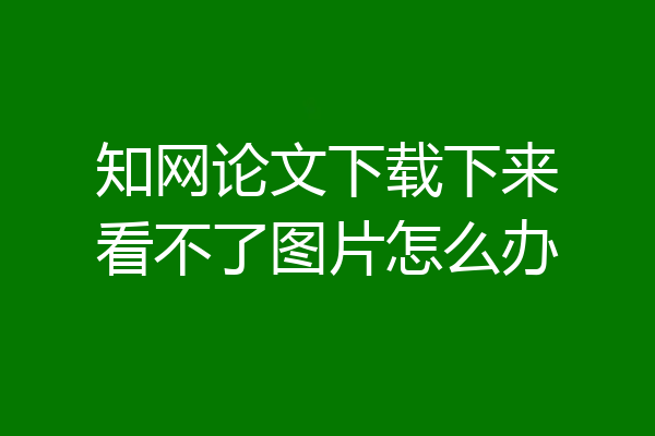 知网论文下载下来看不了图片怎么办