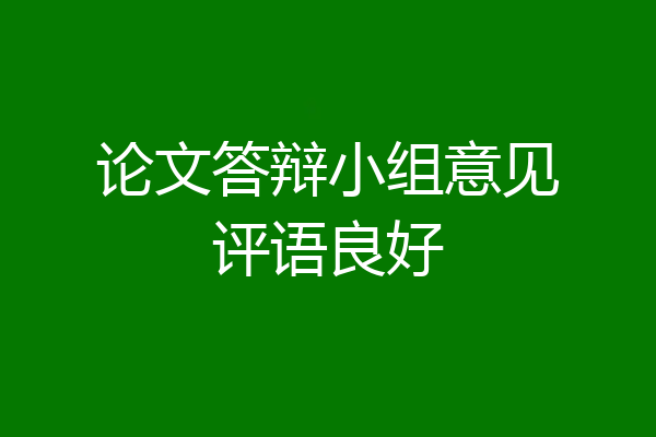 论文答辩小组意见评语良好