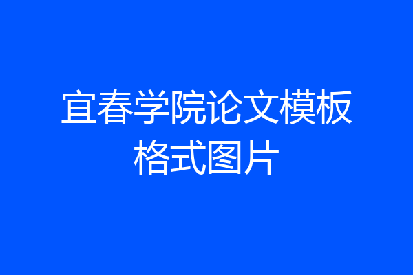 宜春学院论文模板格式图片