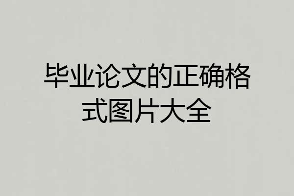毕业论文的正确格式图片大全