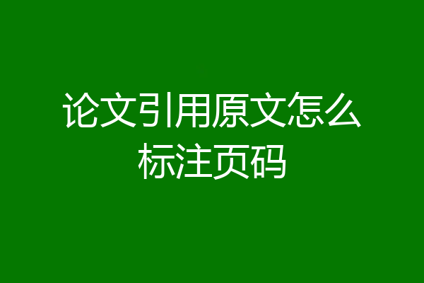 论文引用原文怎么标注页码