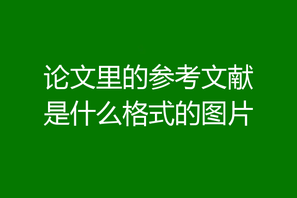 论文里的参考文献是什么格式的图片