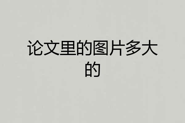 论文里的图片多大的