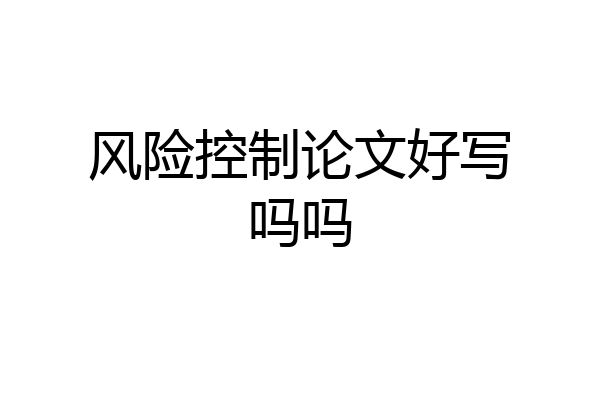 风险控制论文好写吗吗