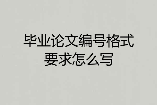 毕业论文编号格式要求怎么写
