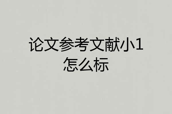 论文参考文献小1怎么标