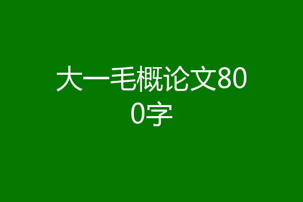 大一毛概论文800字