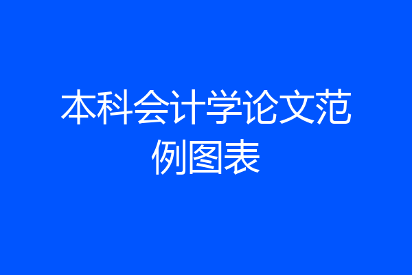 本科会计学论文范例图表
