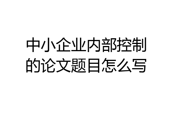 中小企业内部控制的论文题目怎么写