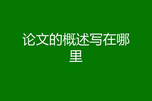 论文的概述写在哪里