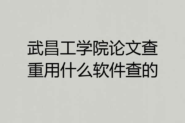 武昌工学院论文查重用什么软件查的