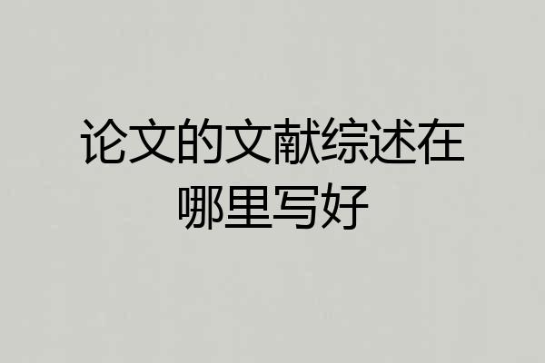 论文的文献综述在哪里写好