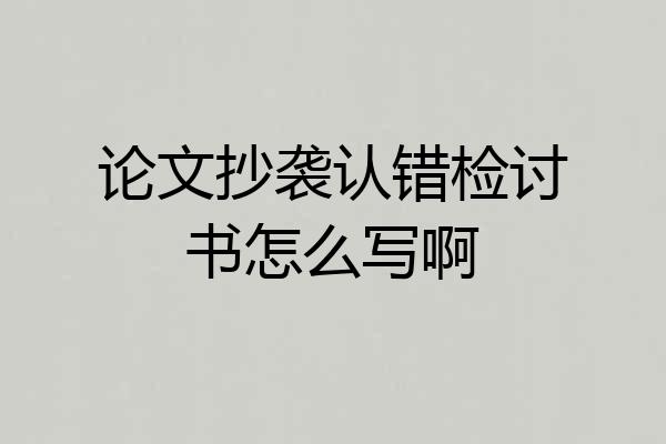 论文抄袭认错检讨书怎么写啊