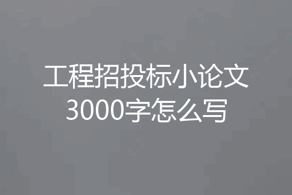 工程招投标小论文3000字怎么写