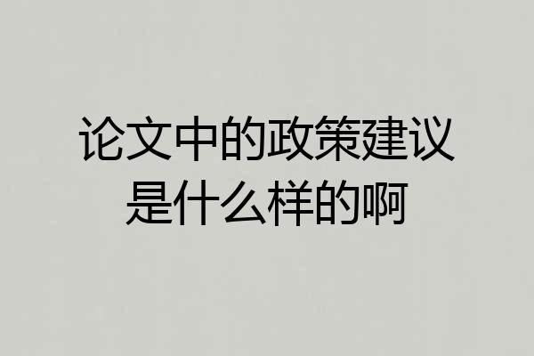 论文中的政策建议是什么样的啊