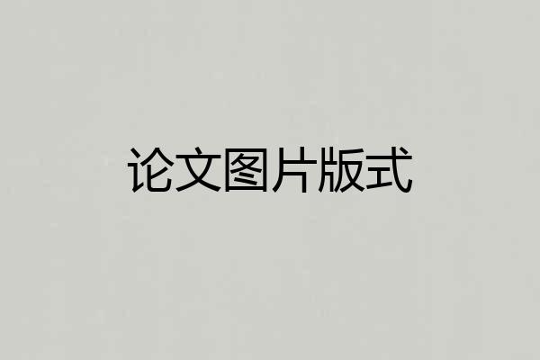 论文图片版式
