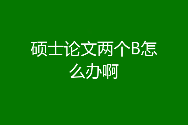 硕士论文两个B怎么办啊
