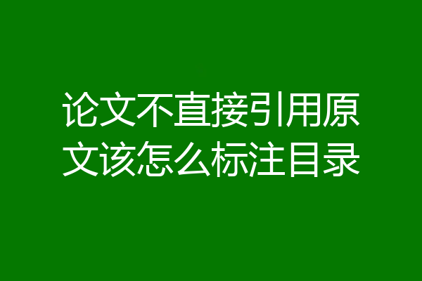 论文不直接引用原文该怎么标注目录