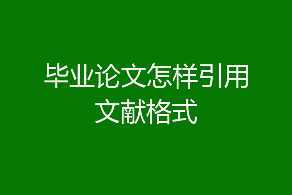 毕业论文怎样引用文献格式