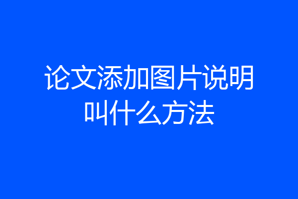 论文添加图片说明叫什么方法