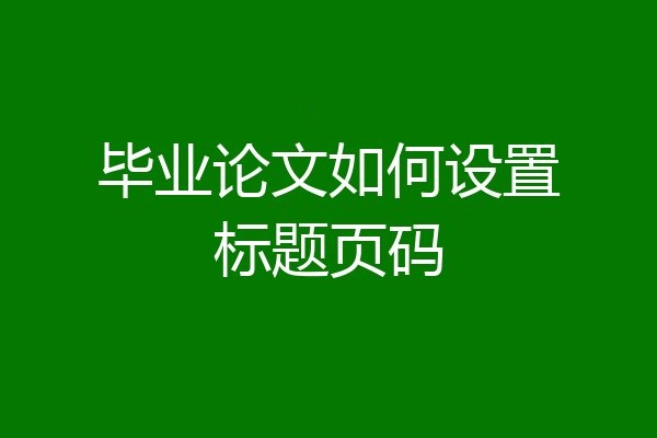 毕业论文如何设置标题页码