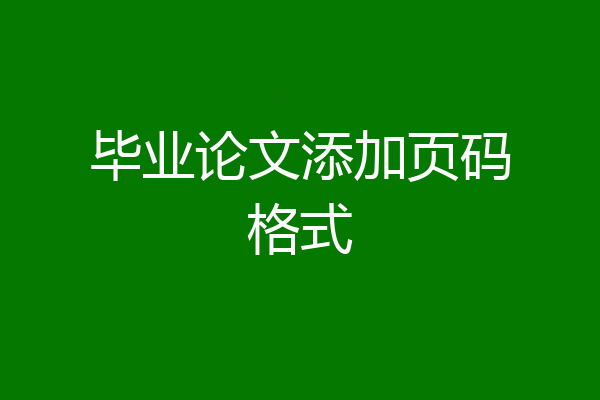 毕业论文添加页码格式