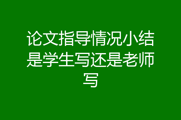 论文指导情况小结是学生写还是老师写