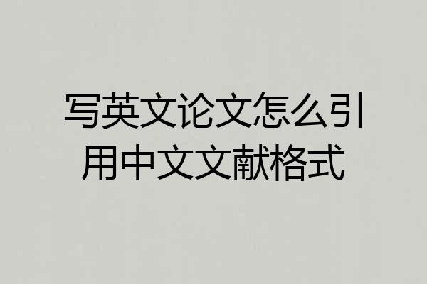 写英文论文怎么引用中文文献格式