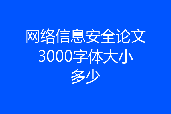 网络信息安全论文3000字体大小多少