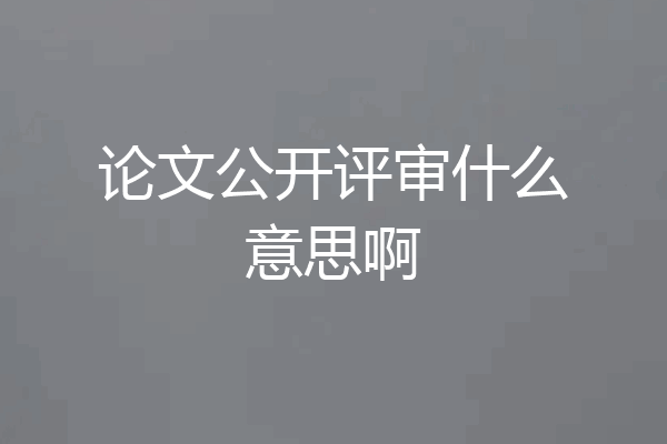 论文公开评审什么意思啊