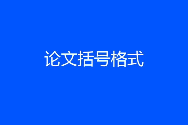 论文括号格式