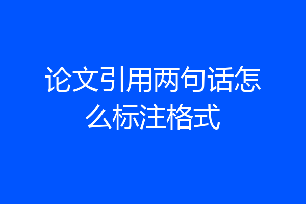 论文引用两句话怎么标注格式