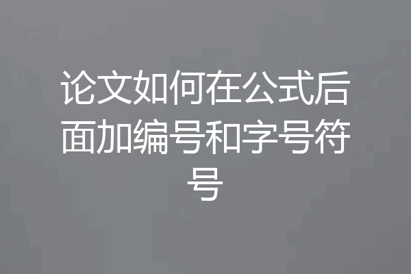 论文如何在公式后面加编号和字号符号