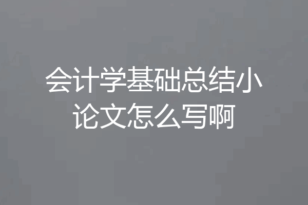 会计学基础总结小论文怎么写啊