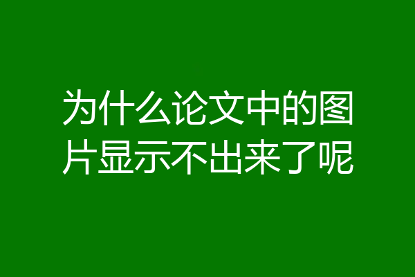 为什么论文中的图片显示不出来了呢