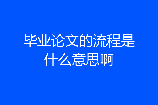 毕业论文的流程是什么意思啊