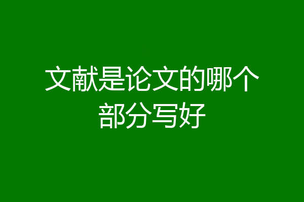 文献是论文的哪个部分写好