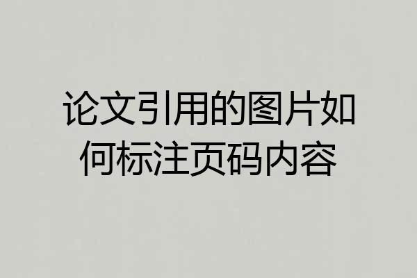 论文引用的图片如何标注页码内容