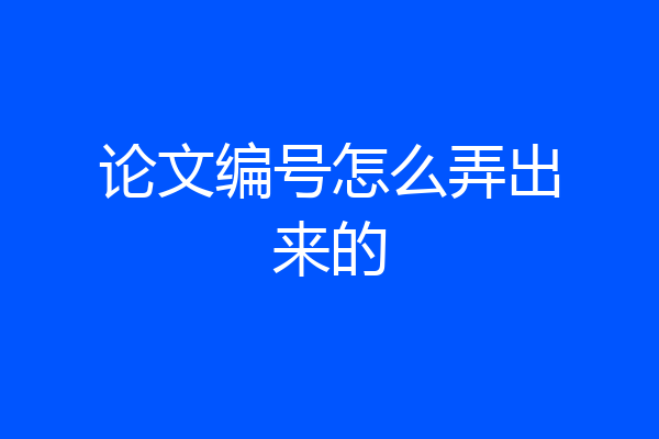 论文编号怎么弄出来的