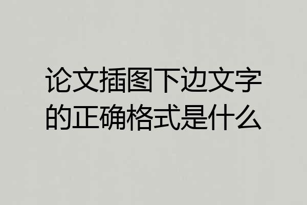 论文插图下边文字的正确格式是什么