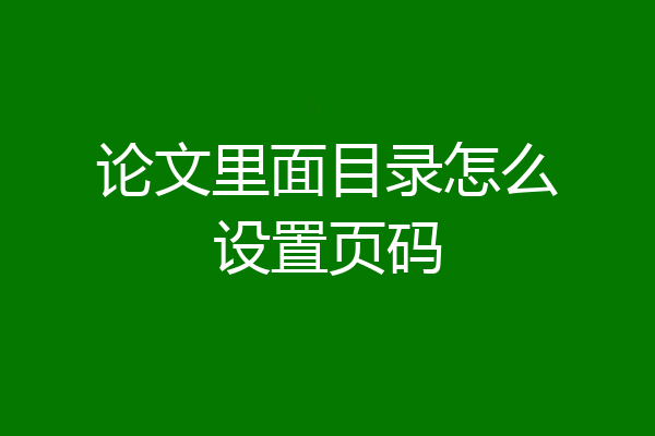 论文里面目录怎么设置页码