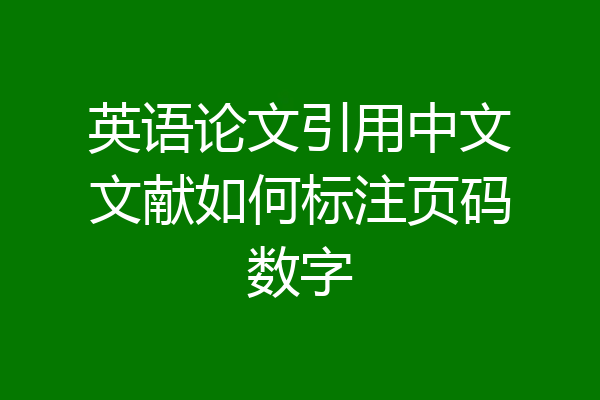 英语论文引用中文文献如何标注页码数字