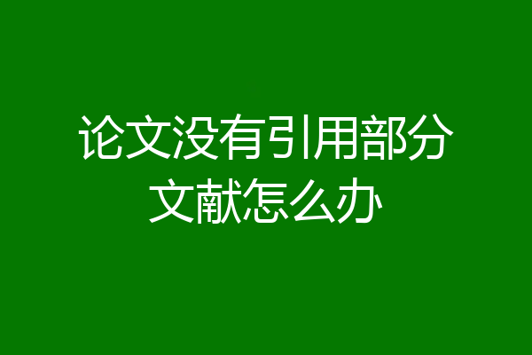 论文没有引用部分文献怎么办