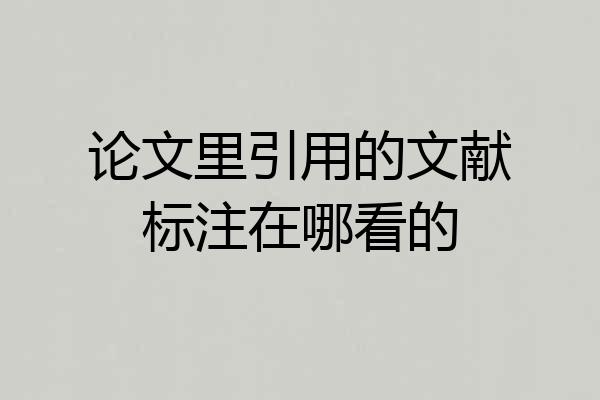论文里引用的文献标注在哪看的