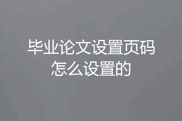 毕业论文设置页码怎么设置的
