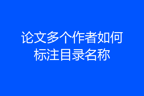 论文多个作者如何标注目录名称