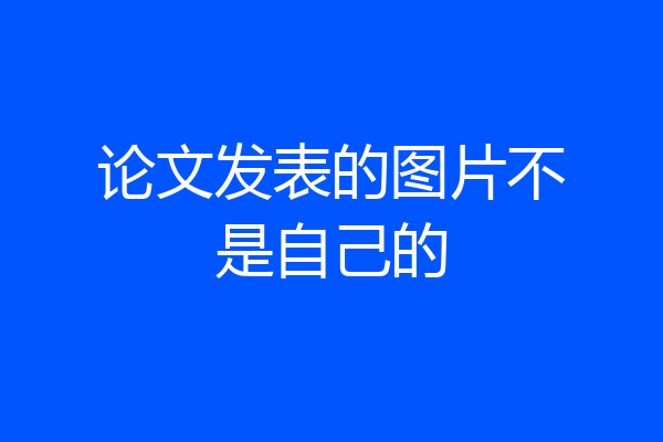 论文发表的图片不是自己的