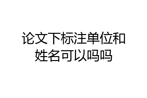 论文下标注单位和姓名可以吗吗