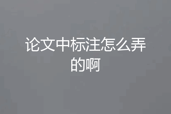 论文中标注怎么弄的啊